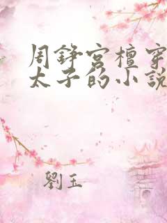 周铮宫檀穿越成太子的小说