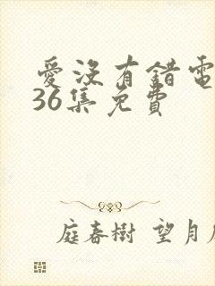 爱没有错电视剧36集免费