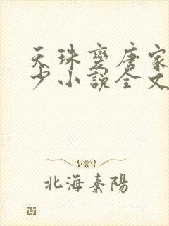 天珠变唐家·三少小说全文免费阅读