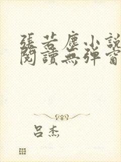 张若尘小说免费阅读无弹窗