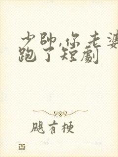 少帅,你老婆又跑了短剧