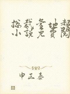 总裁爹地超给力小说免费阅读