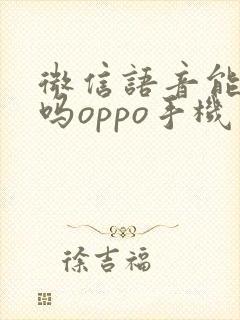 微信语音能录音吗oppo手机