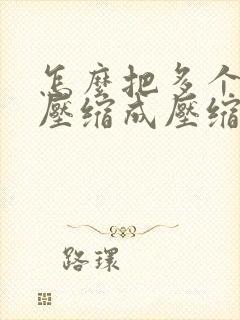 怎么把多个文件压缩成压缩包zip