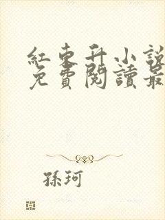 红东升小说全文免费阅读最新章节