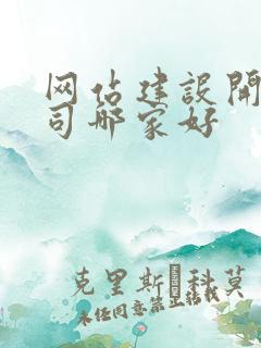 网站建设开发公司哪家好