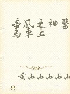 帝凰之神医弃妃马车上