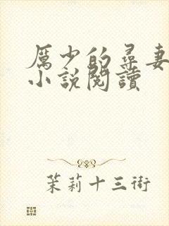 厉少的寻妻之路小说阅读