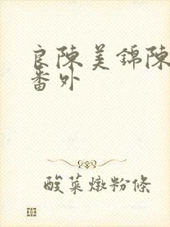 良陈美锦陈玄越番外