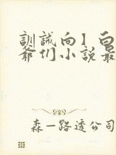 训诫向】白家少爷们小说最新章节免费阅读