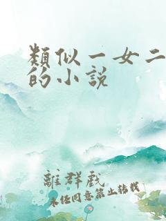 类似一女二三事的小说