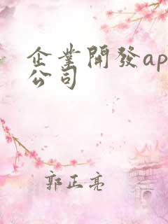 企业开发app公司