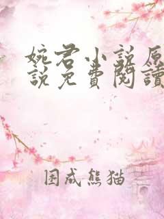 婉君小说原著小说免费阅读