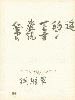 红岩下的追捕免费观看冫