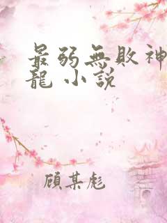 最弱无败神装机龙 小说