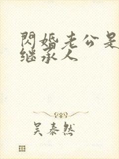 闪婚老公是豪门继承人