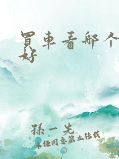 买车看哪个网站好