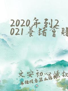 2020年到2021养猪会赚钱吗