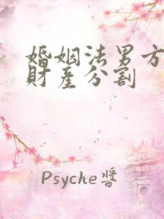 婚姻法男方出轨财产分割