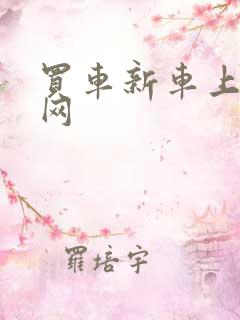 买车新车上什么网