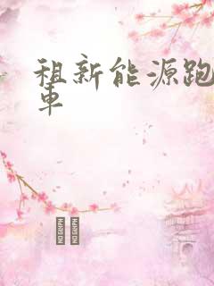 租新能源跑网约车