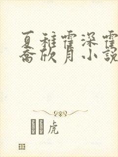 夏稚霍深霍栖野乔欣月小说名字
