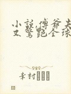 小说,傅爷夫人又惊艳全球了