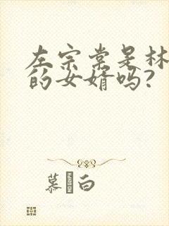 左宗棠是林则徐的女婿吗?