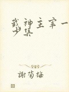 武神主宰一共多少集