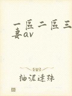 一区二区三区人妻av