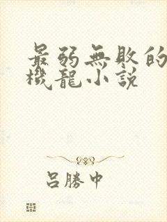 最弱无败的神装机龙小说