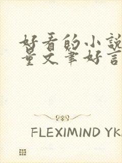 好看的小说高质量文笔好言情