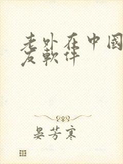 老外在中国的交友软件