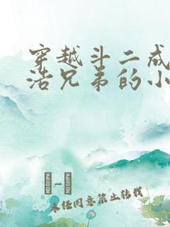 穿越斗二成霍雨浩兄弟的小说