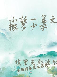 小说一篇文章大概多少字