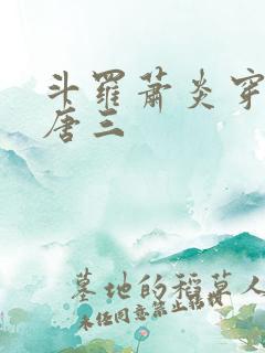 斗罗萧炎穿越成唐三