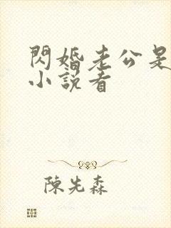 闪婚老公是大佬小说看