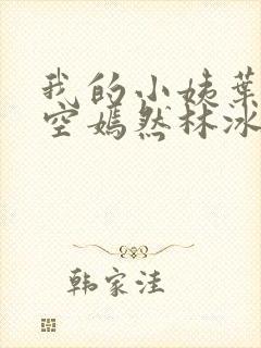 我的小姨叶凡司空嫣然林冰