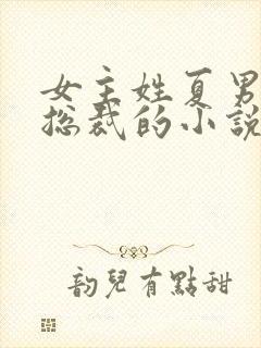 女主姓夏男主是总裁的小说