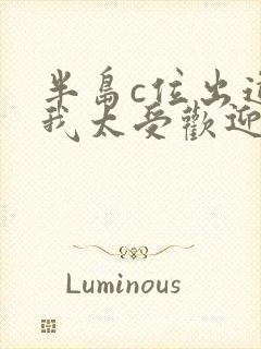 半岛c位出道的我太受欢迎笔趣阁