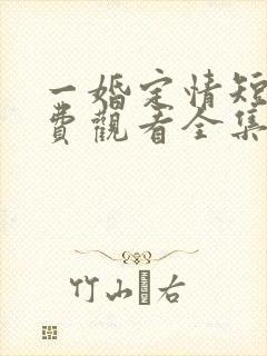 一婚定情短剧免费观看全集