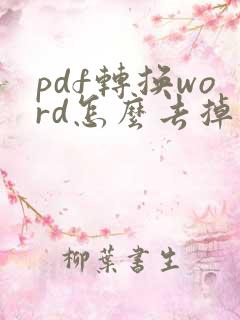 pdf转换word怎么去掉水印