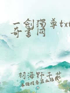 一剑独尊txt奇书网