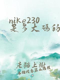 nike230是多大码的鞋