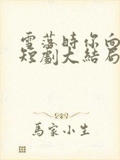 雪落时你向南飞短剧大结局