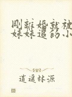 刚离婚就被省委妹妹追的小说