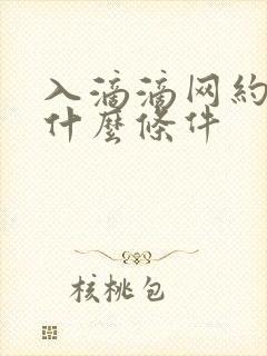 入滴滴网约车要什么条件