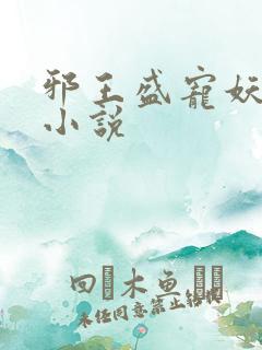 邪王盛宠妖孽妃小说