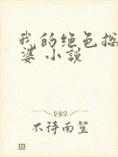 我的绝色总裁老婆 小说