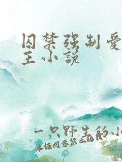 囚禁强制爱双男主小说